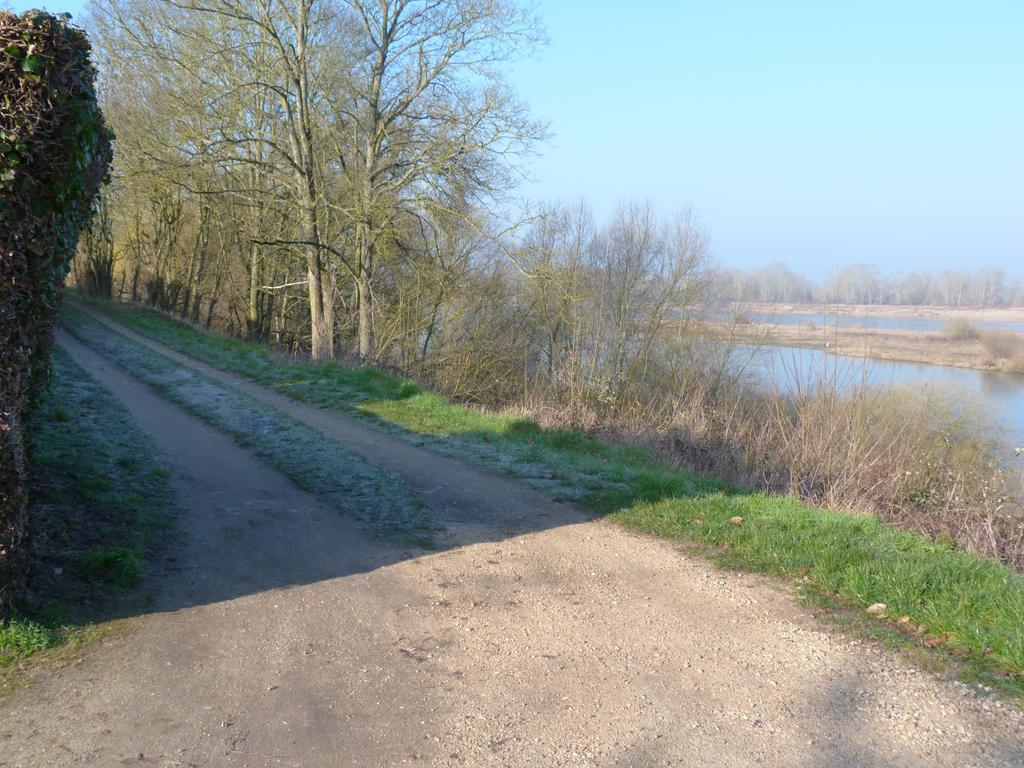 Les Gites De Colliers Muides-sur-Loire Phòng bức ảnh