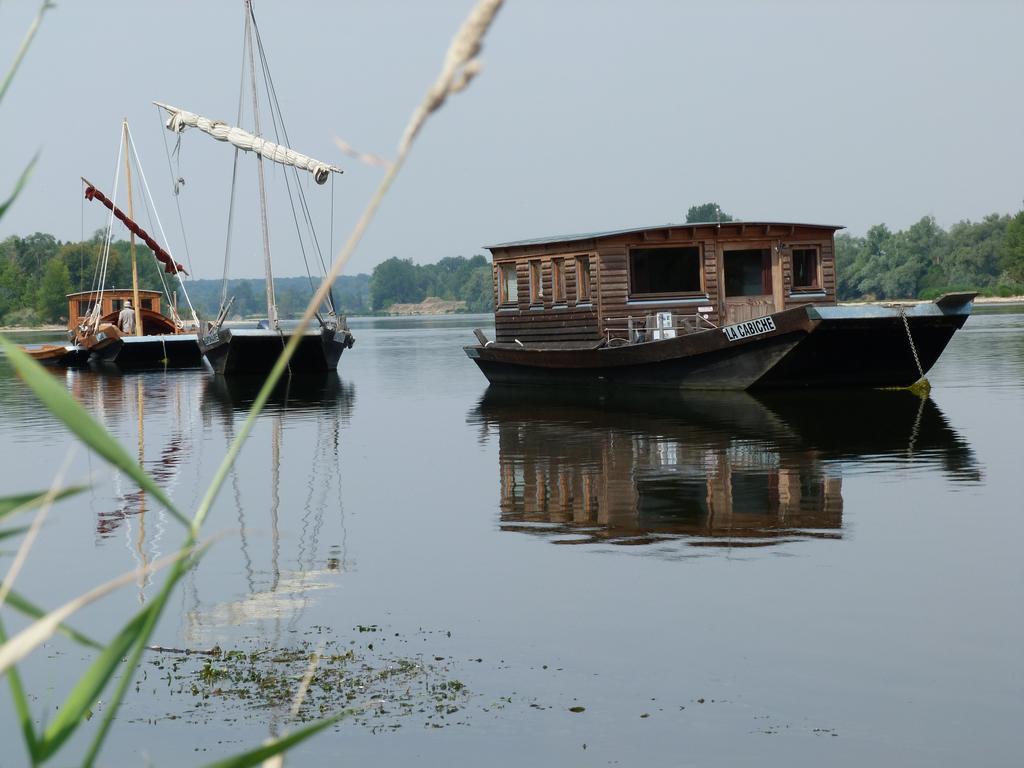 Les Gites De Colliers Muides-sur-Loire Ngoại thất bức ảnh